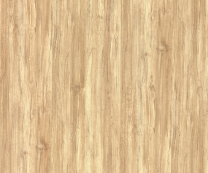 2363 FOUR SEASONS (LIGHT)